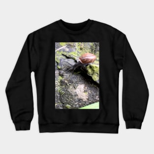 Garden snail Crewneck Sweatshirt